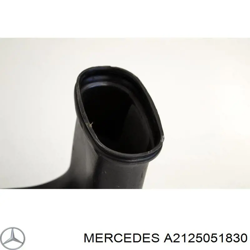 Повітропровід (дефлектор) радіатора, нижній Mercedes A2125051830 ціна, від 36.59 USD