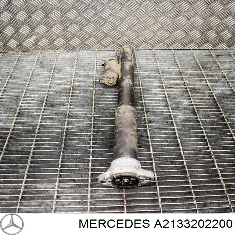 Амортизатор задній Mercedes A2133202200 ціна, від 866.04 USD