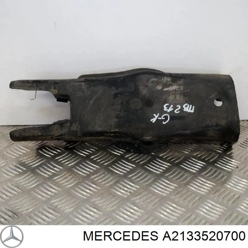 A2133520700 Mercedes Захист заднього нижнього важеля