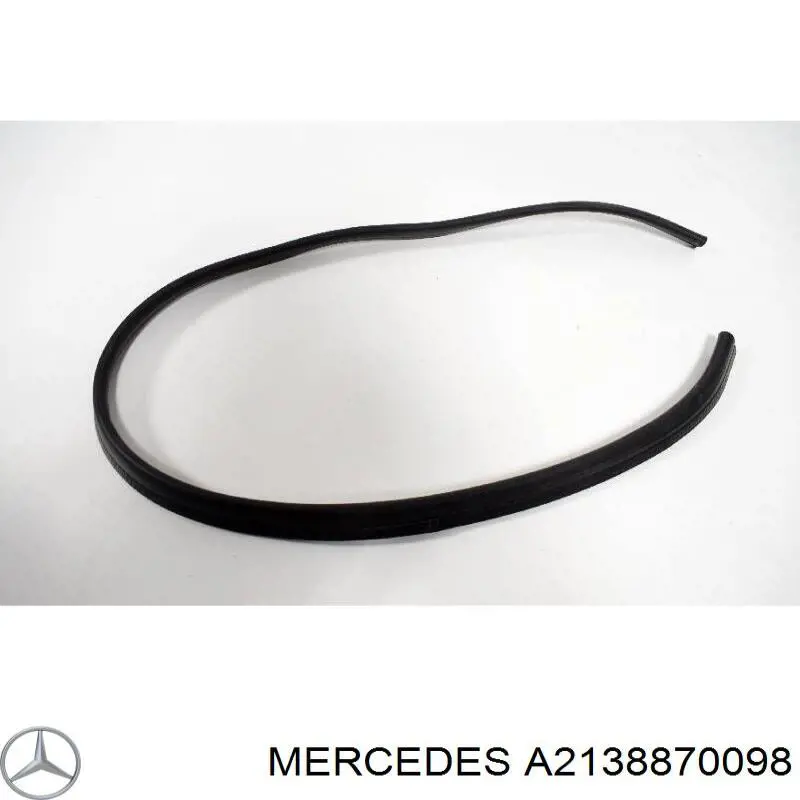  Mercedes A2138870098