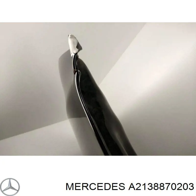 A2138870203 Mercedes 