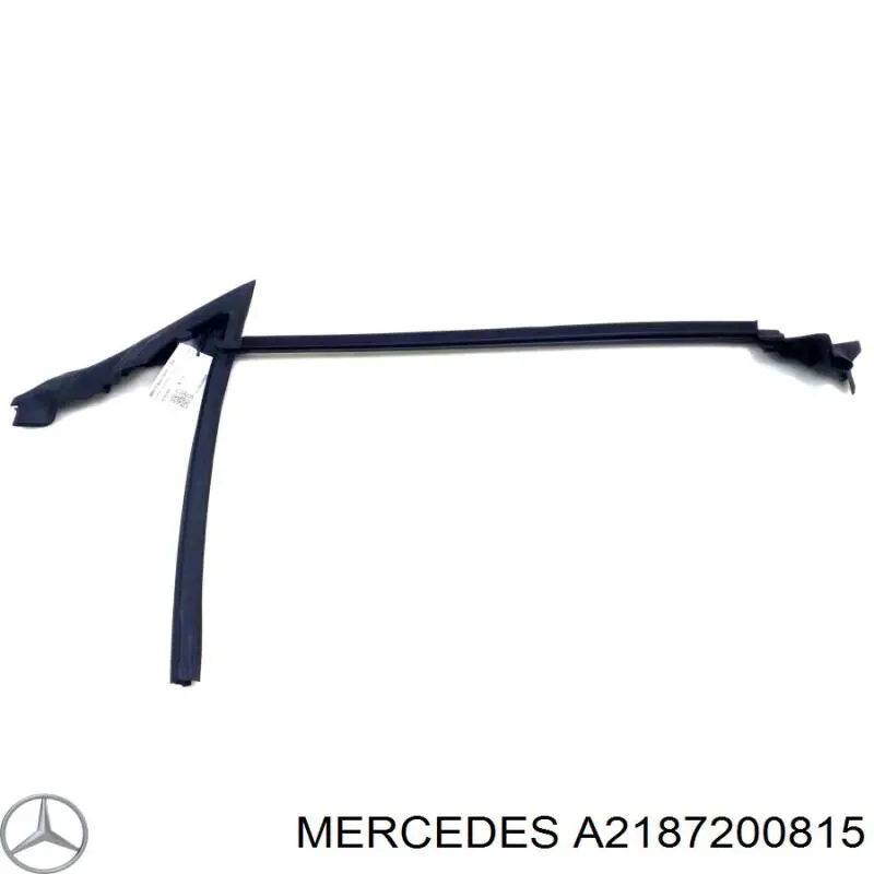 Купити A2187200815 Mercedes 