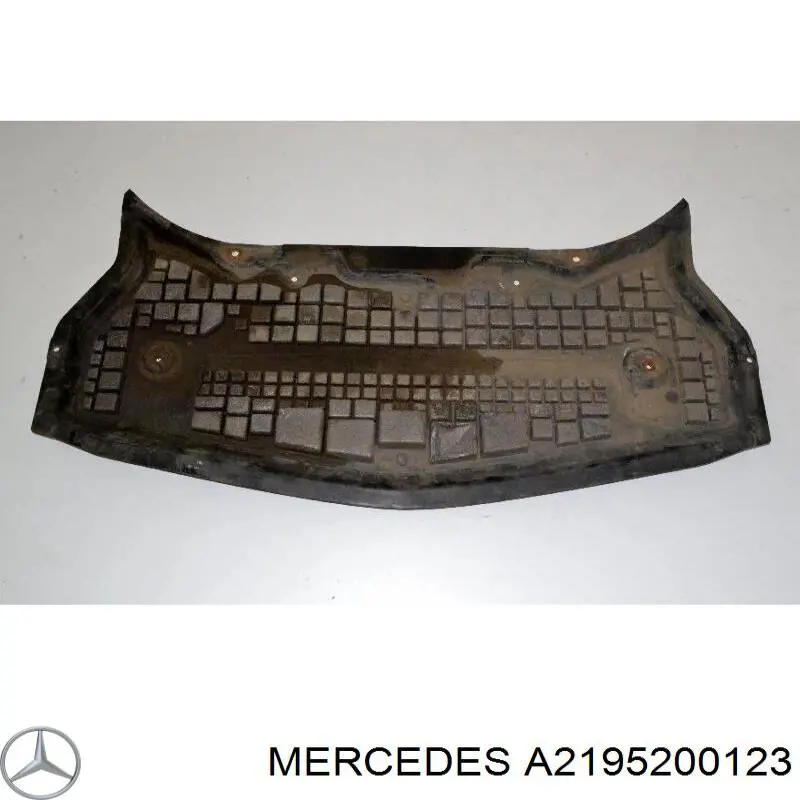 A2195200123 Mercedes Захист піддона двигуна