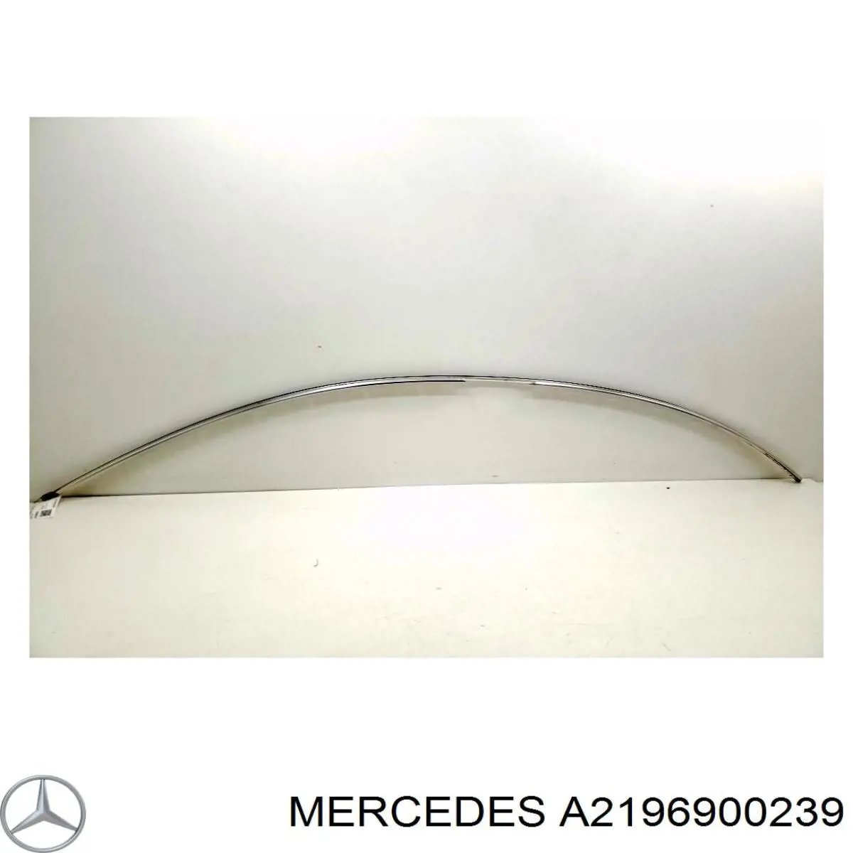 Купити A2196900239 Mercedes 