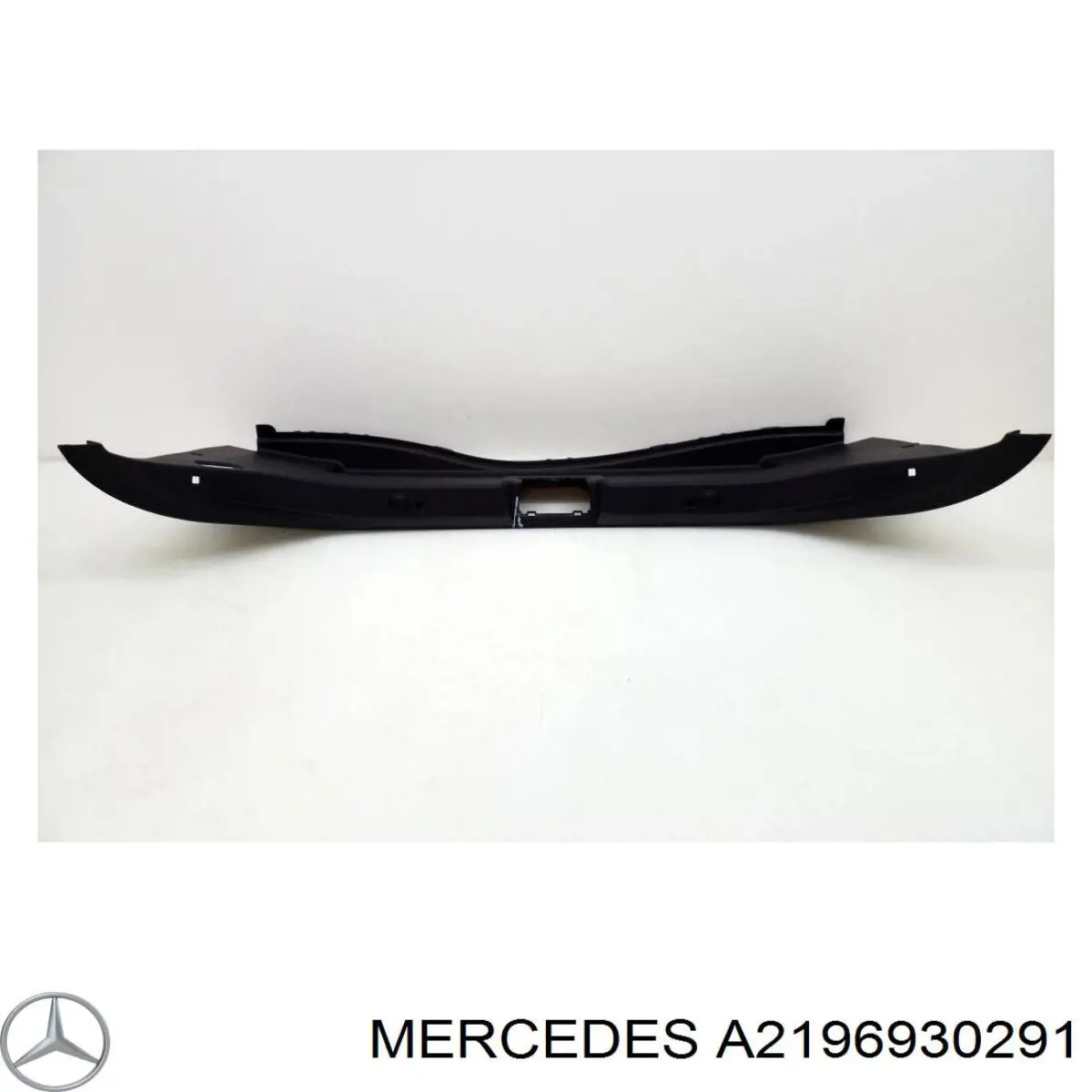  A2196930291 Mercedes