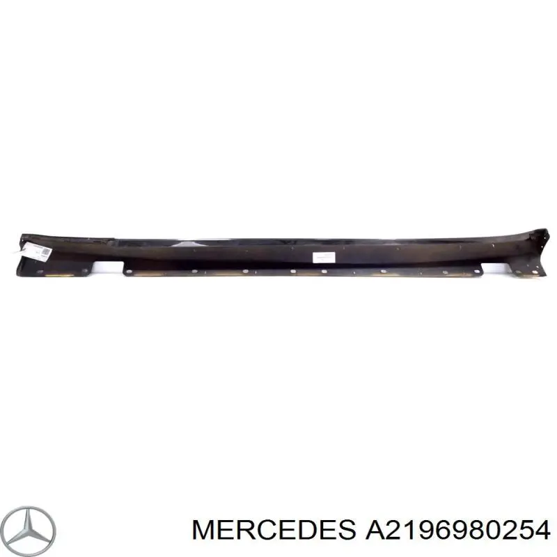 A2196980254 Mercedes 