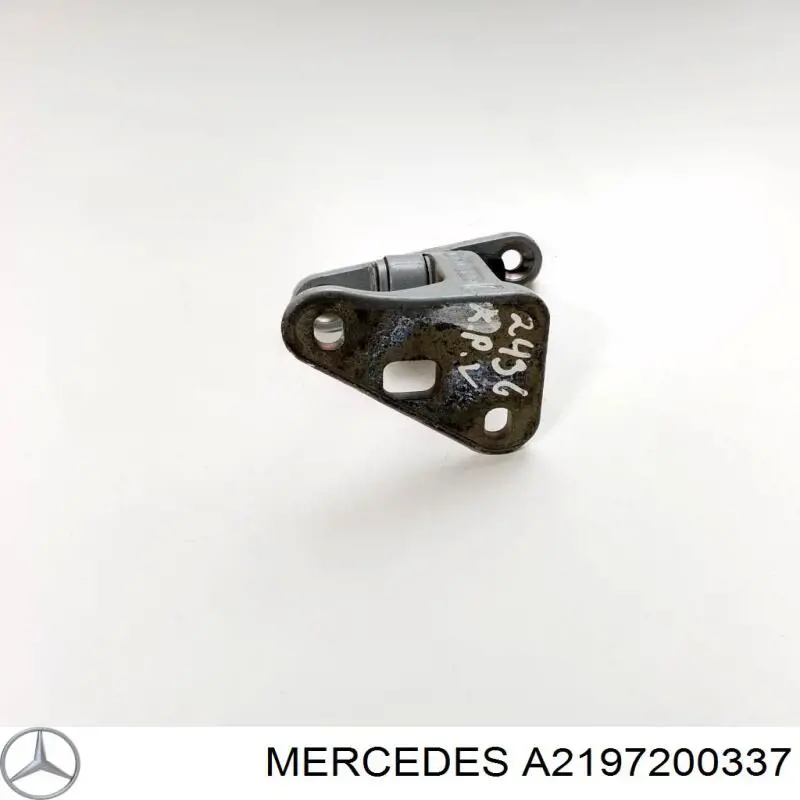 Купити A2197200337 Mercedes Петля водійських дверей