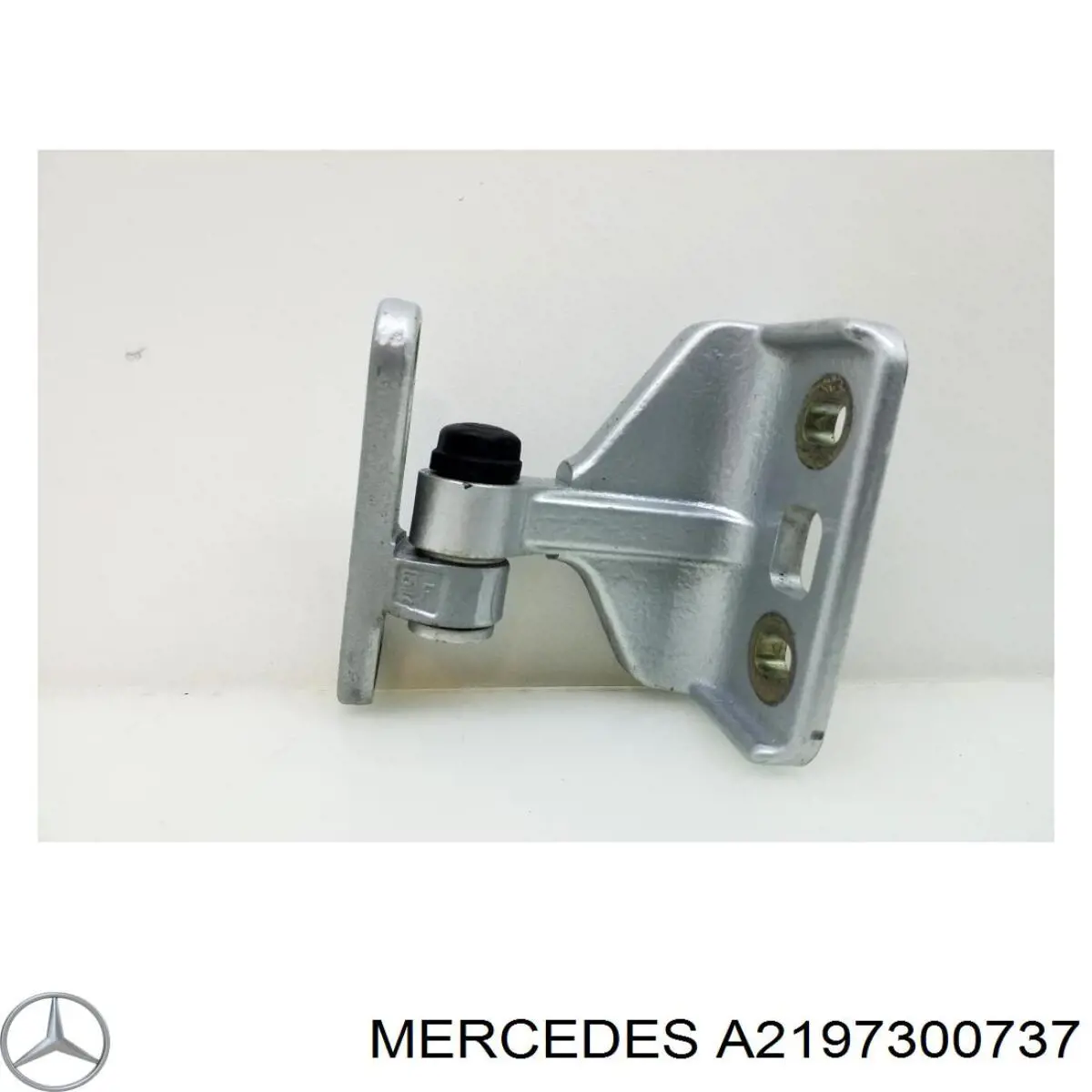 A2197300737 Mercedes Петля задніх лівих дверей