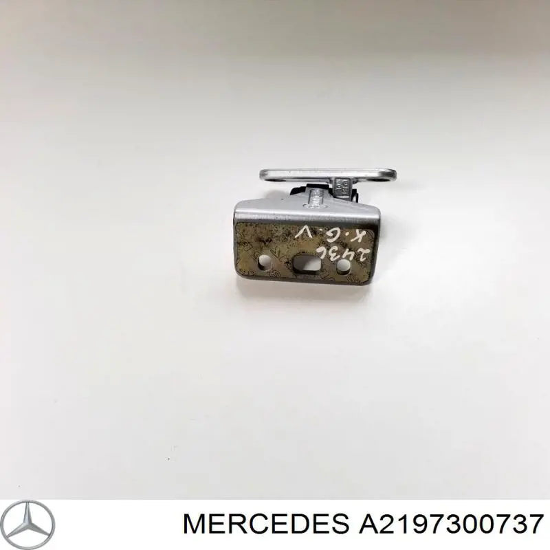 Петля заднтої двері, лівої A2197300737 Mercedes
