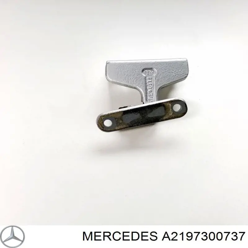 Купити A2197300737 Mercedes Завіса дверей задніх лівих