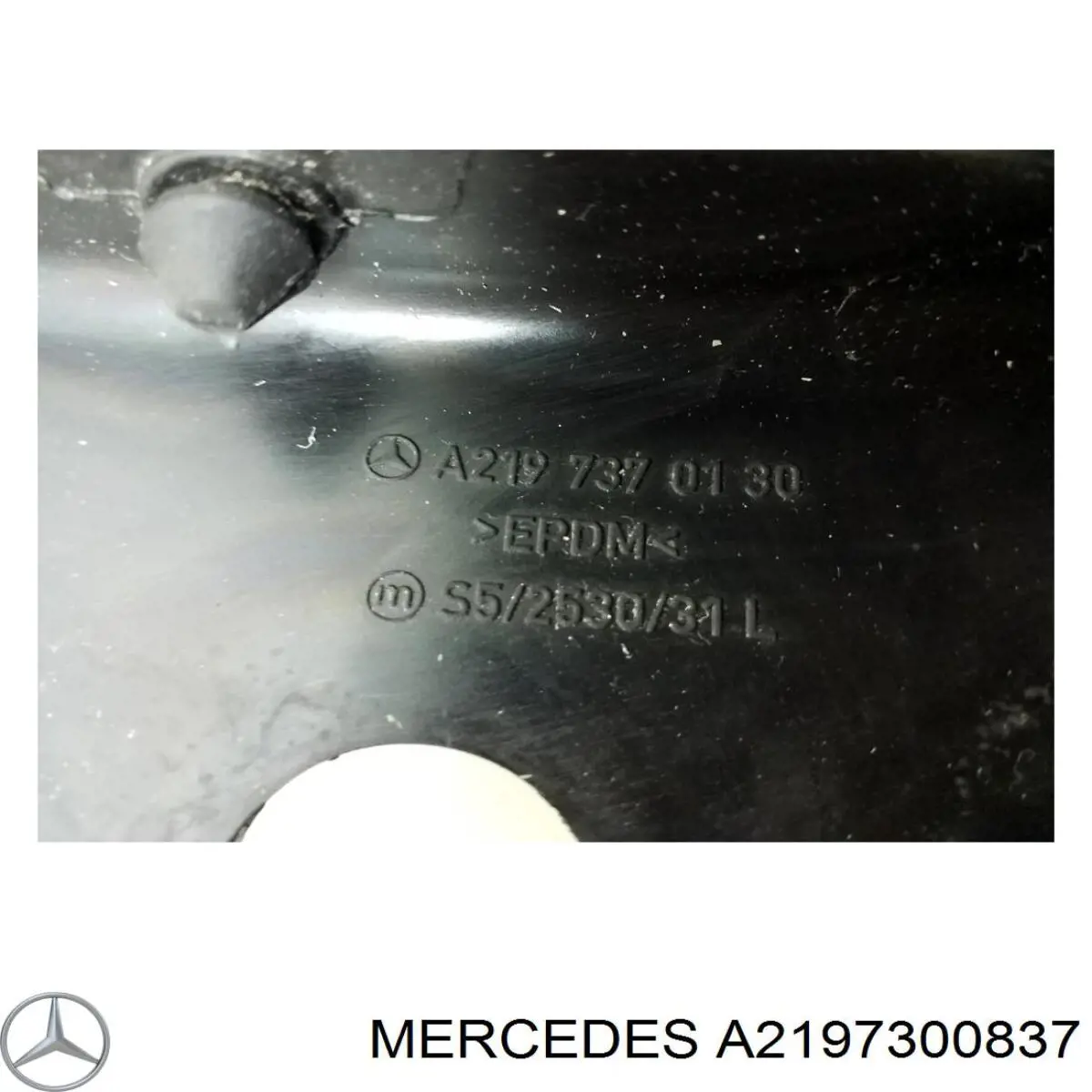 Купити A2197300237 Mercedes Дверний шарнір задній правий