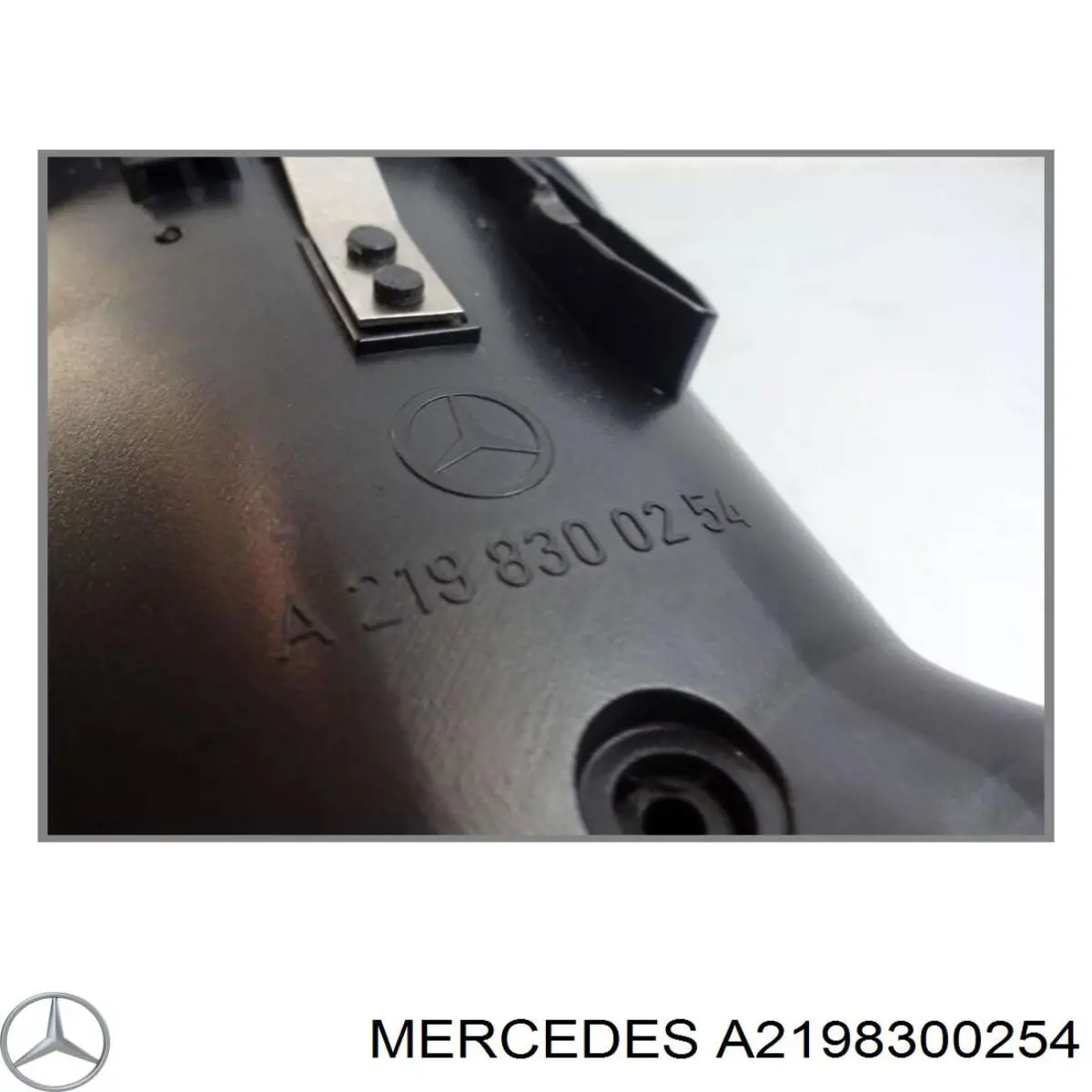  A2198300254 Mercedes