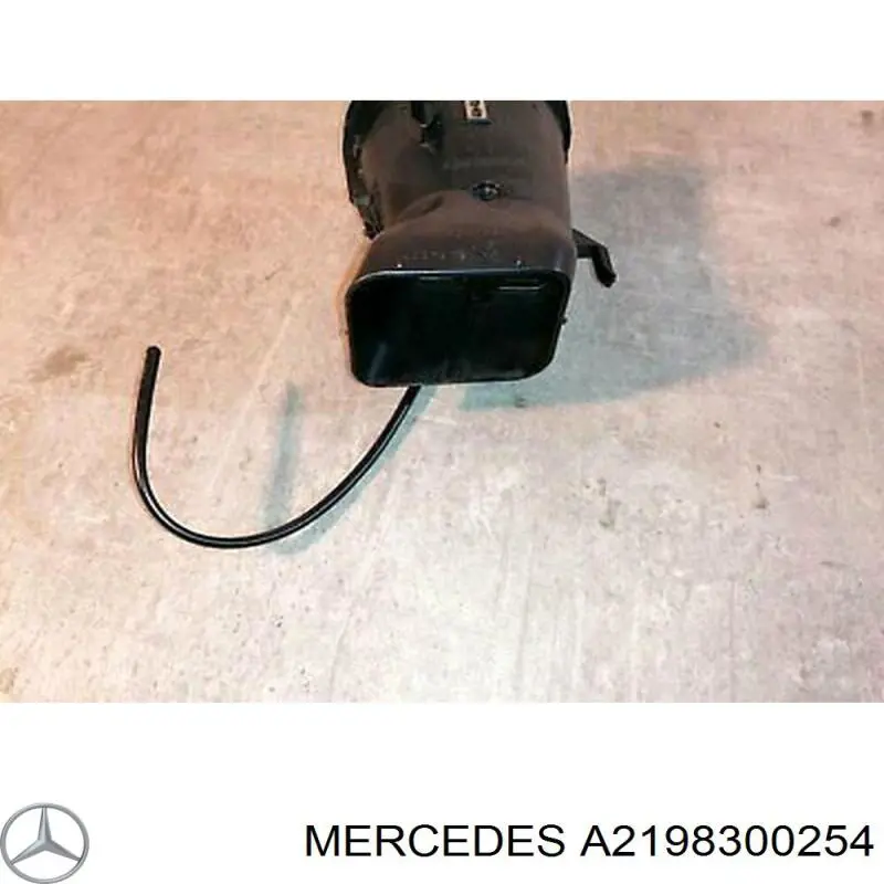A2198300254 Mercedes 