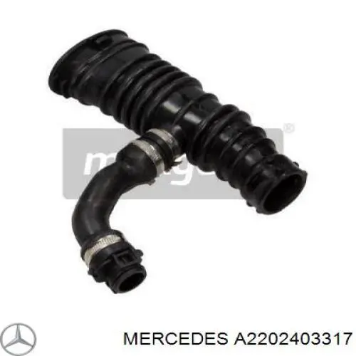 A2202403317 Mercedes подушка (опора двигуна ліва/права)