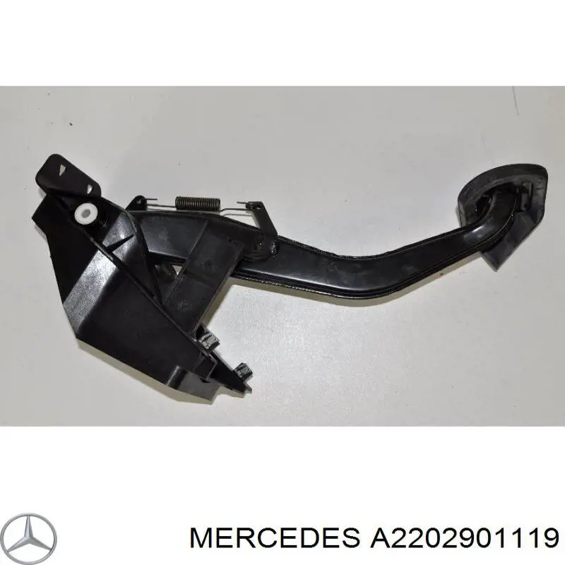 A2202901119 Mercedes 