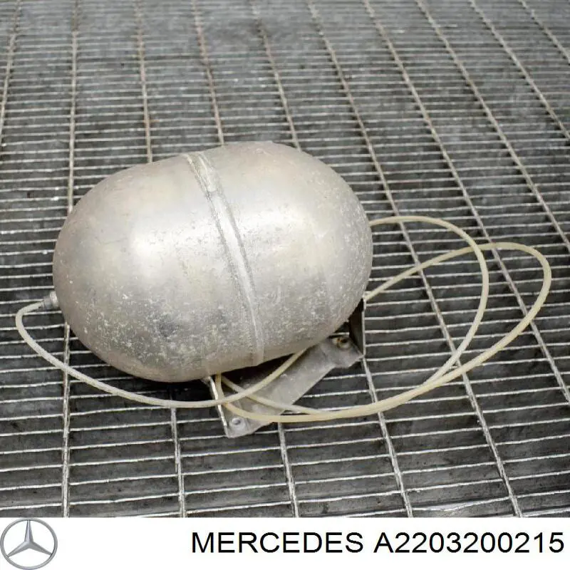 Купити A2203200215 Mercedes Ресивер пневматичної системи