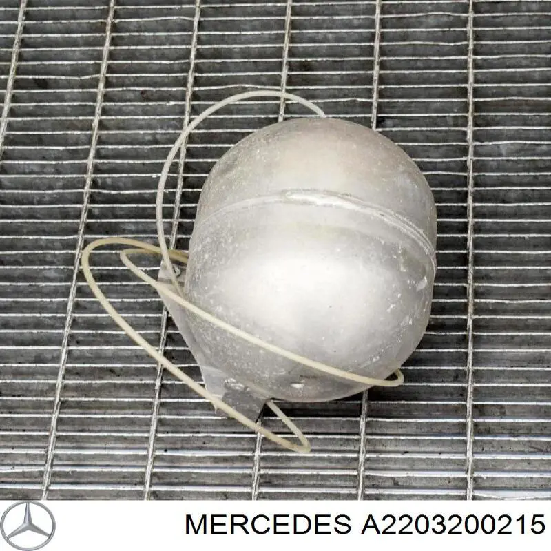 A2203200215 Mercedes Ресивер пневматичної системи