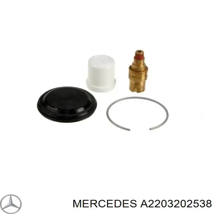 Стойка амортизатора передняя Mercedes A2203202538 ціна, від 152.62 USD