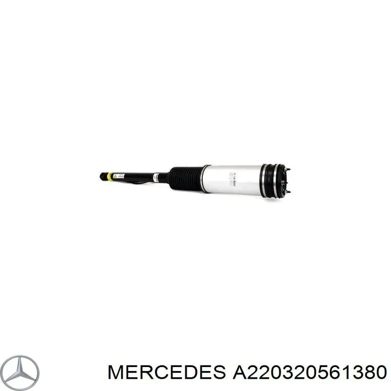 Амортизатор задній, правий на Mercedes S-Class (W220)