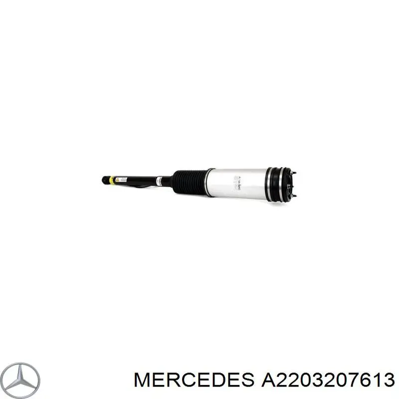 A2203207613 Mercedes Стійка передня
