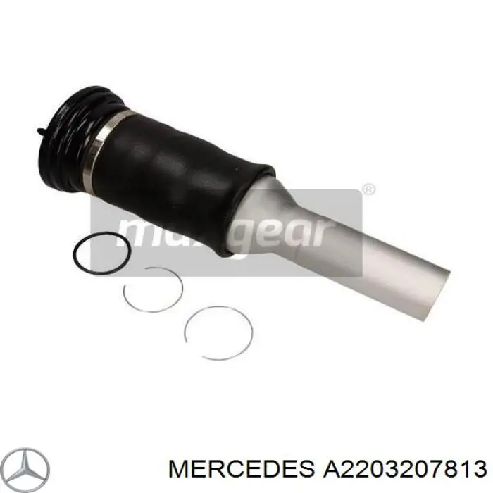 Купити A2203207813 Mercedes Стійка амортизатора задня