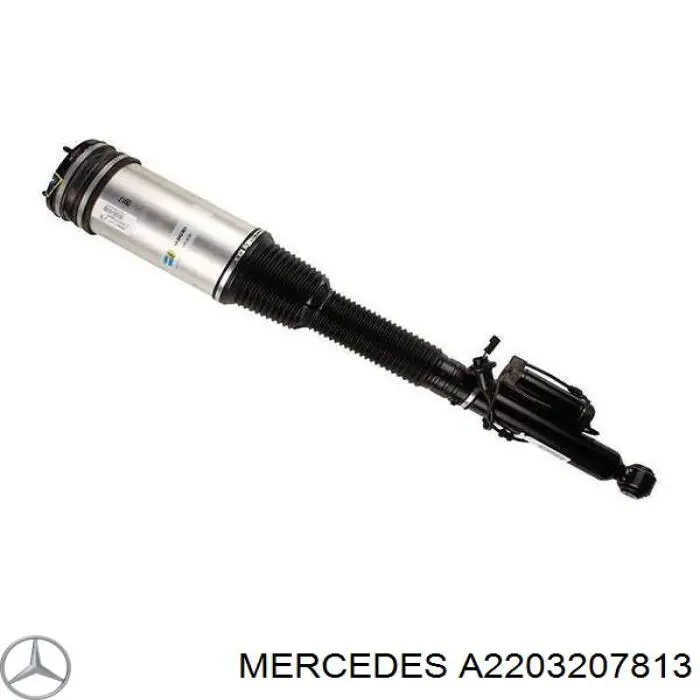 A2203207813 Mercedes Амортизатори задні