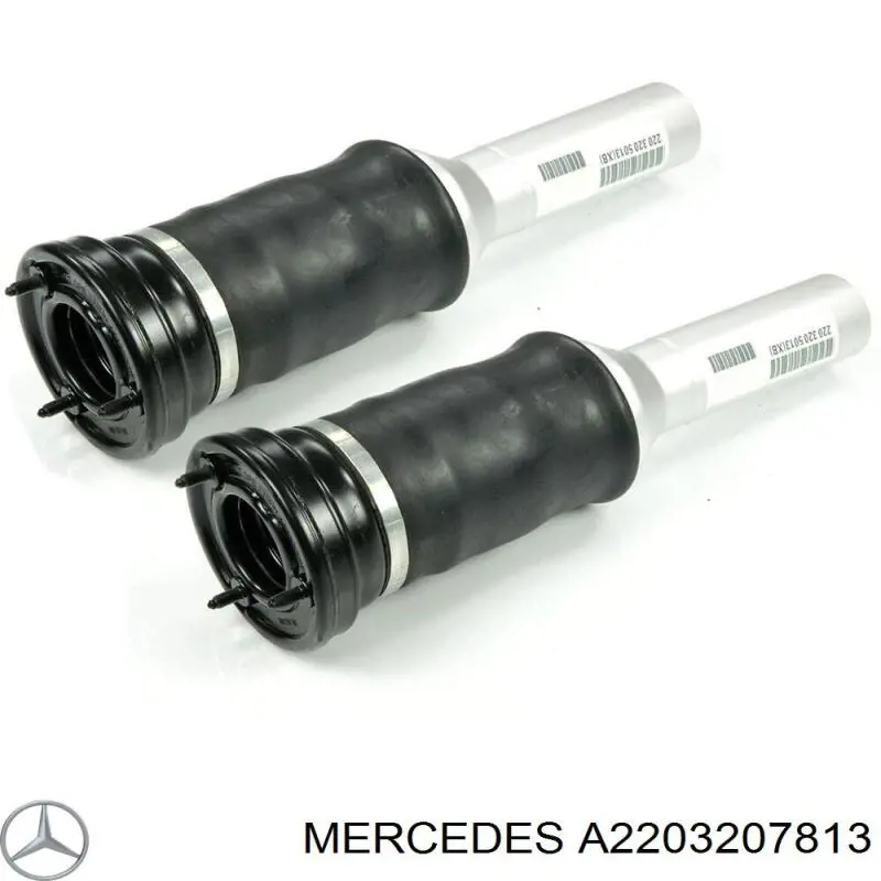 Амортизатор задній Mercedes A2203207813 ціна, від 180.53 USD