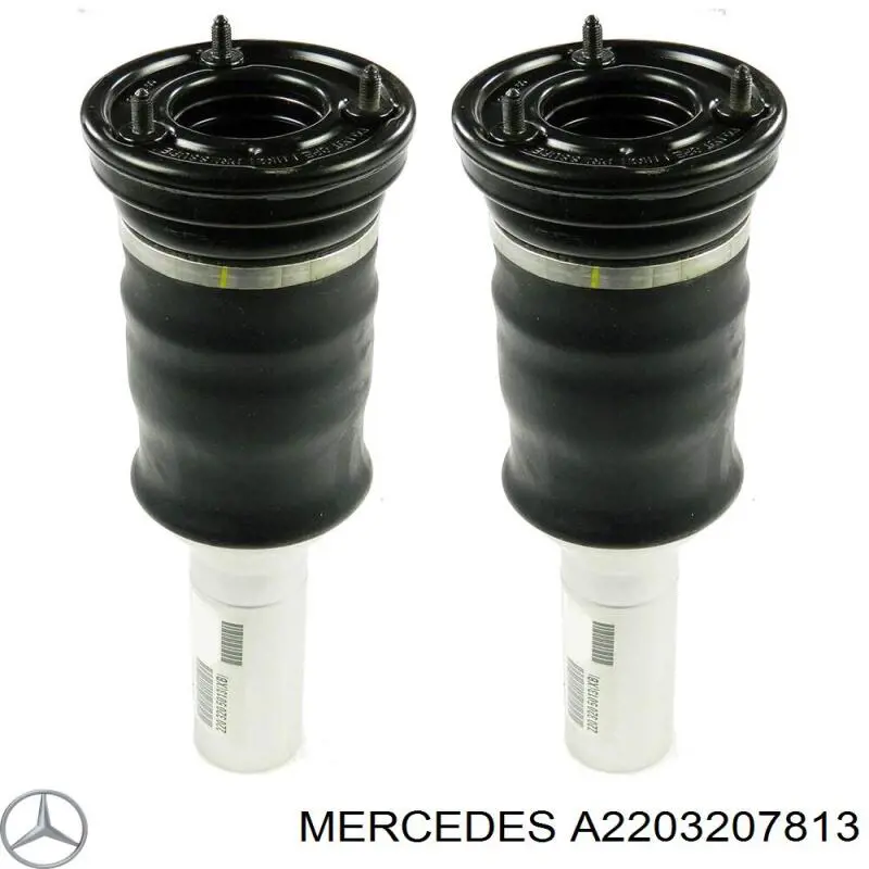 Купити A2203207813 Mercedes Стійка амортизатора задня