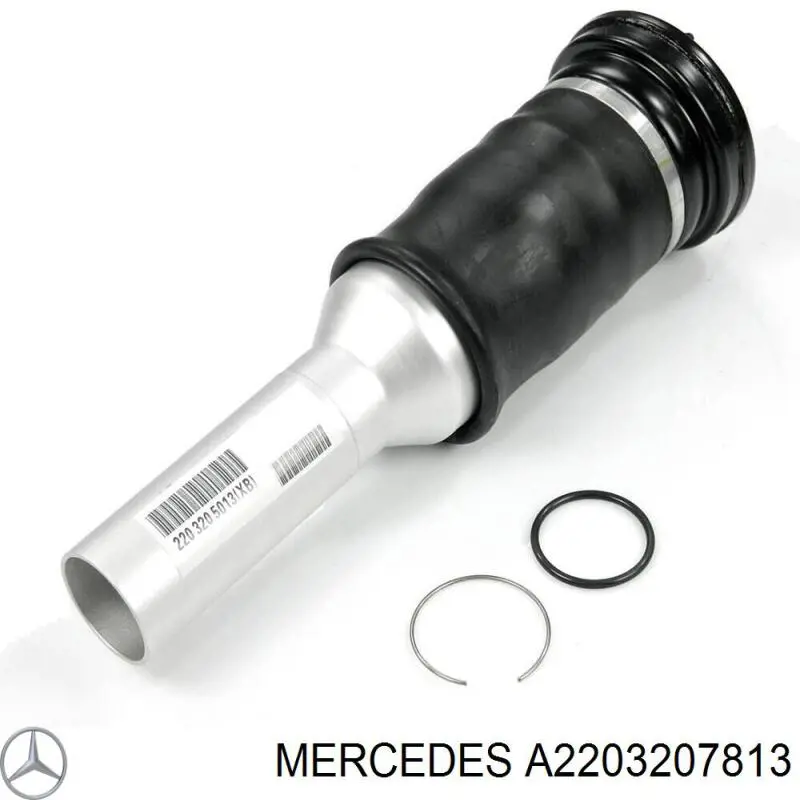 Амортизатор задній A2203207813 Mercedes