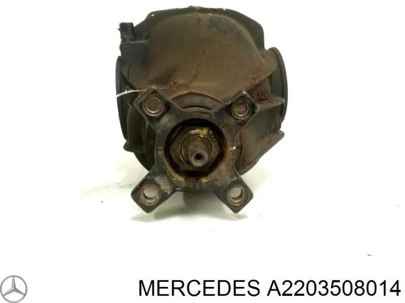 Купити A2203508014 Mercedes 