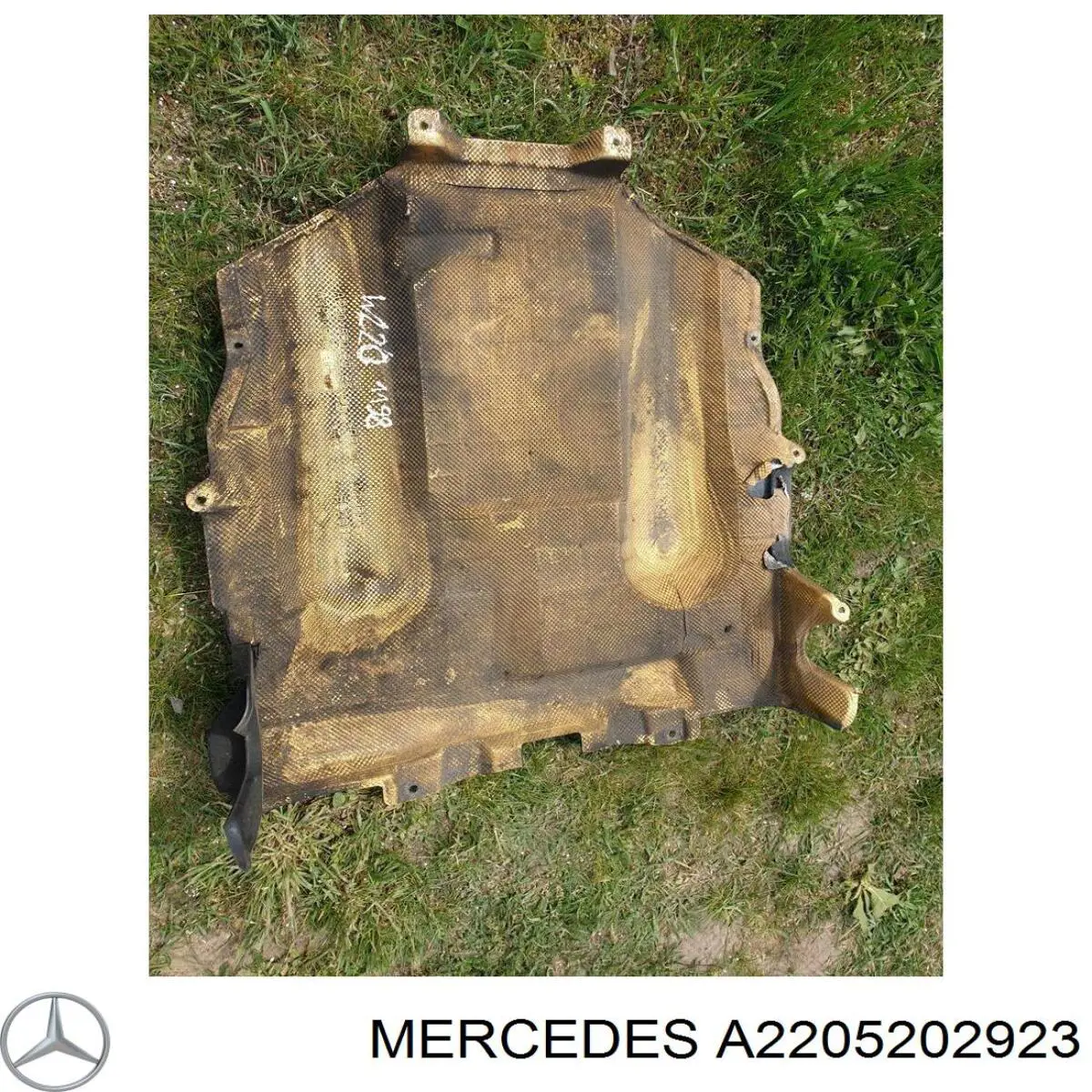 A2205202523 Mercedes Захист двигуна задня