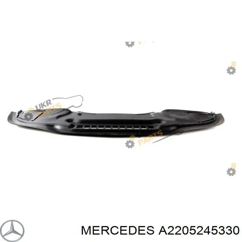 Купити A2205245330 Mercedes Захист піддона картера двигуна
