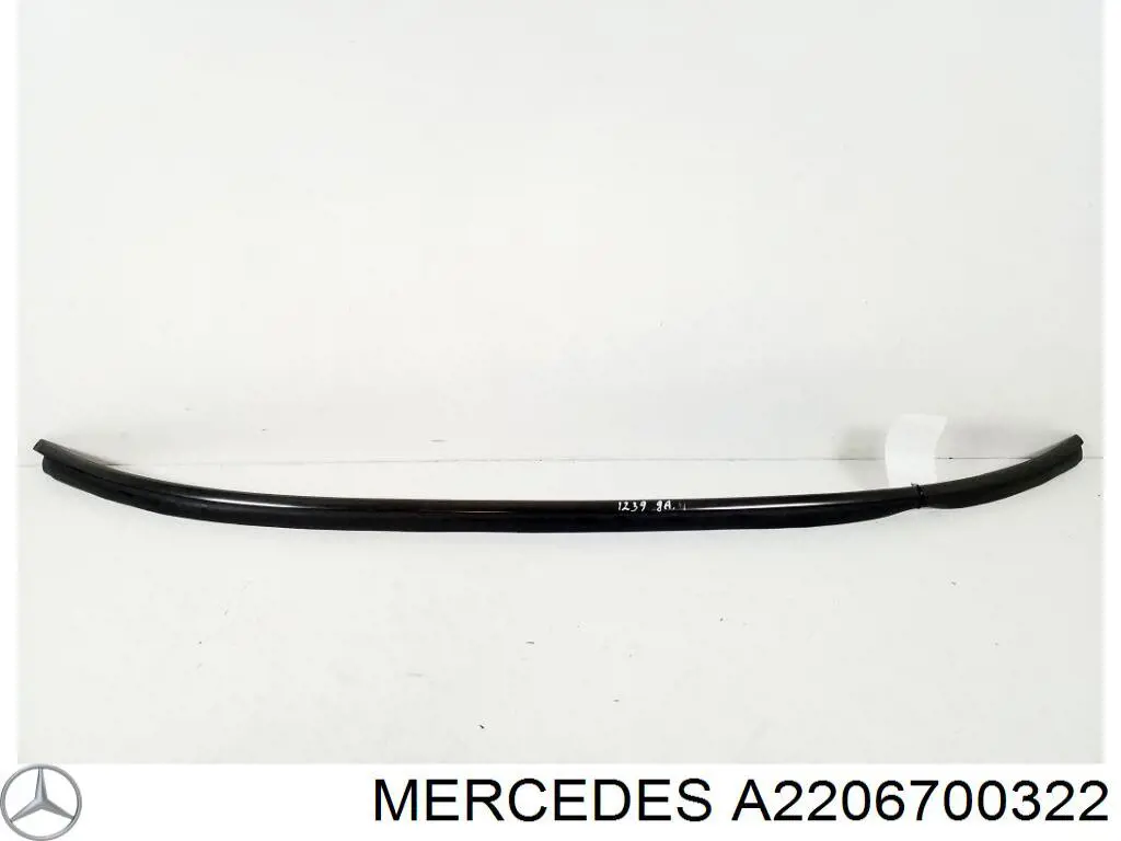 A2206700322 Mercedes 