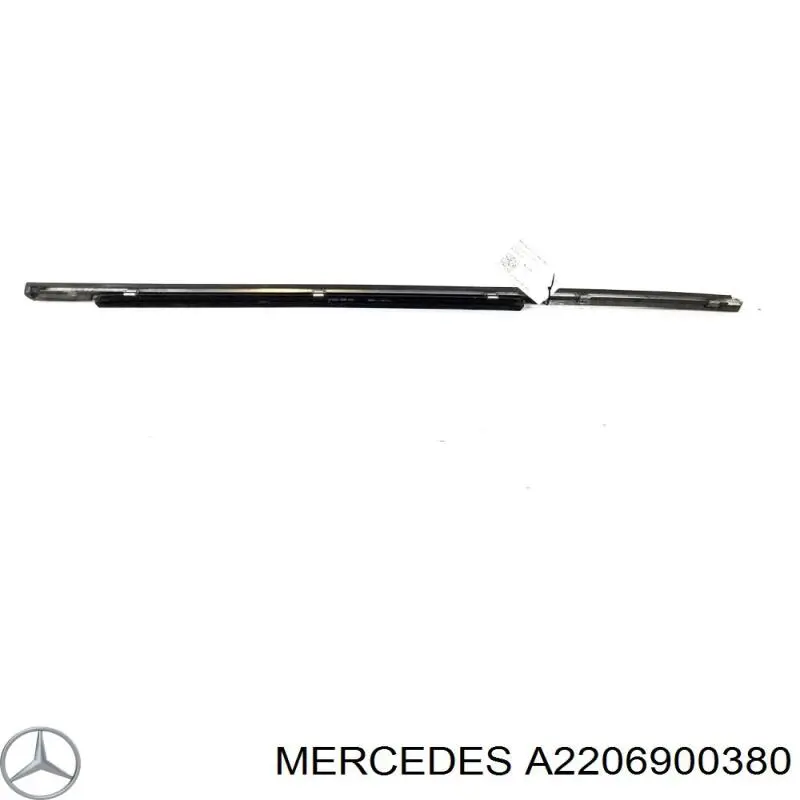 A2206900380 Mercedes ущільнювач скла задніх дверей лівих, зовнішній (планка)