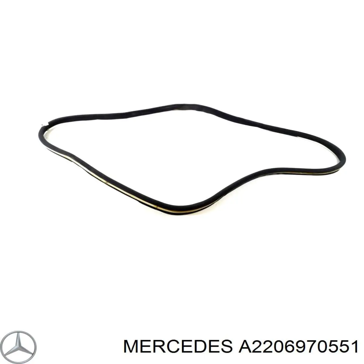 2206970551 Mercedes ущільнювач двері передньої (на кузові)
