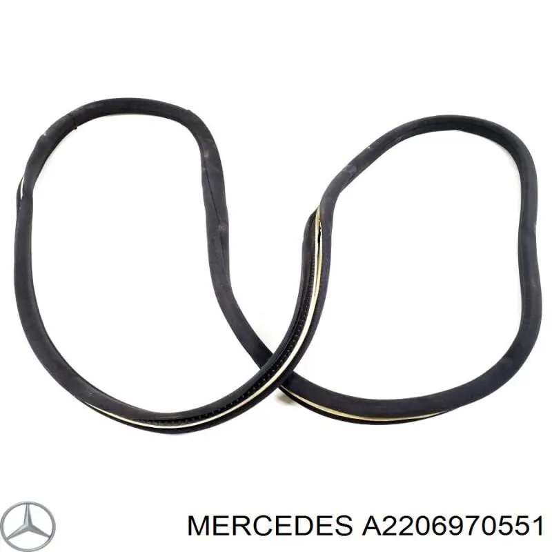 Купити A2206970551 Mercedes Ущільнювач двері передньої (на кузові)