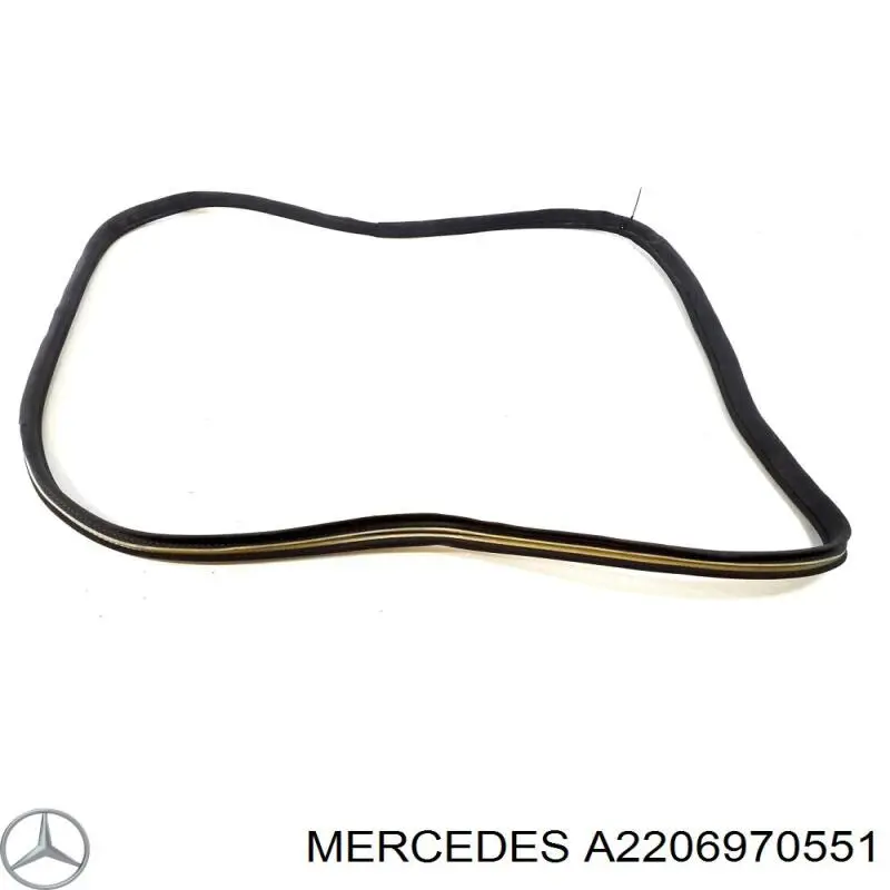Ущільнювач двері передньої (на кузові) Mercedes A2206970551 ціна, від 24.07 USD