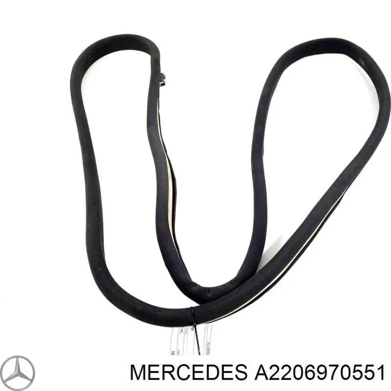 A2206970551 Mercedes Ущільнювач двері передньої (на кузові)