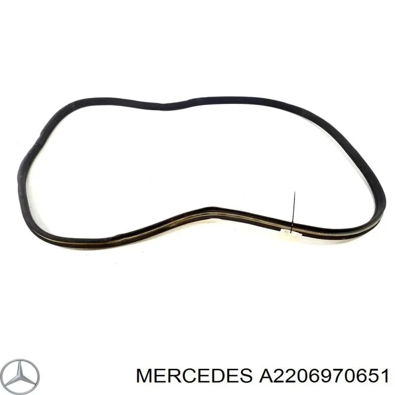 A2206970651 Mercedes Ущільнювач дверей передніх, правих (на кузові)