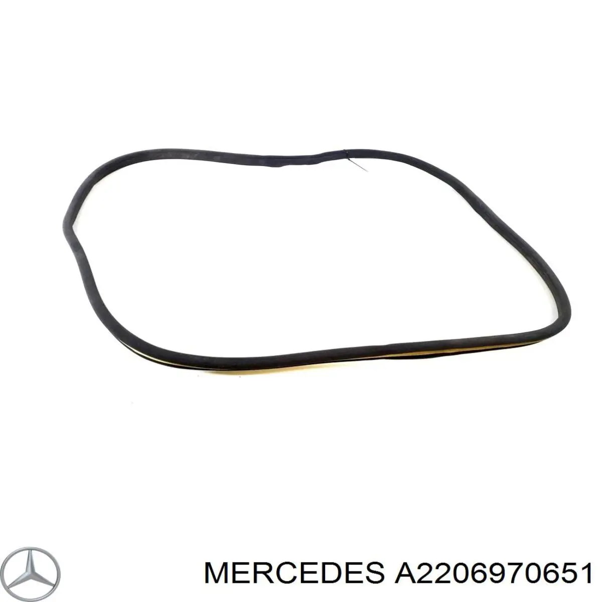 Купити A2206970651 Mercedes Ущільнювач двері передньої правої (на кузові)