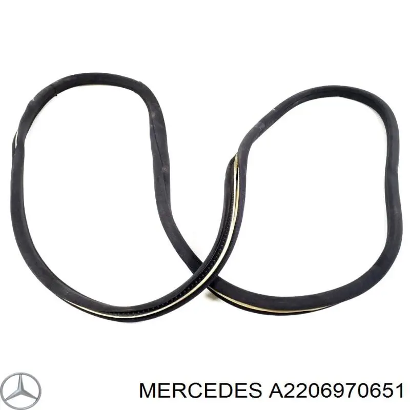 Ущільнювач двері передньої правої (на кузові) Mercedes A2206970651 ціна, від 6.74 USD