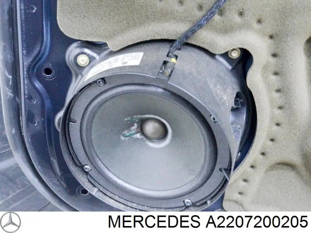 Купити A2207200205 Mercedes Двері праві передні