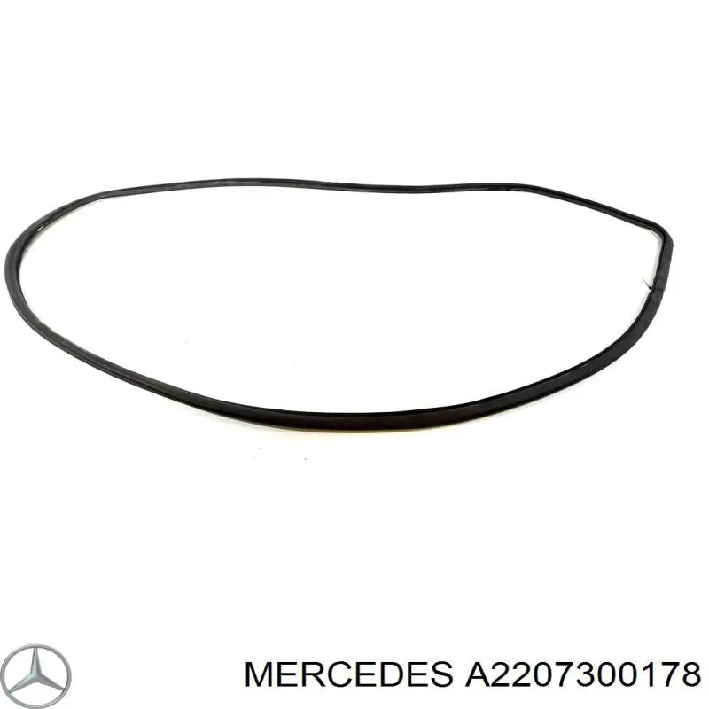 Ущільнювач двері задньої (на двері) Mercedes A2207300278 ціна, від 34.21 USD