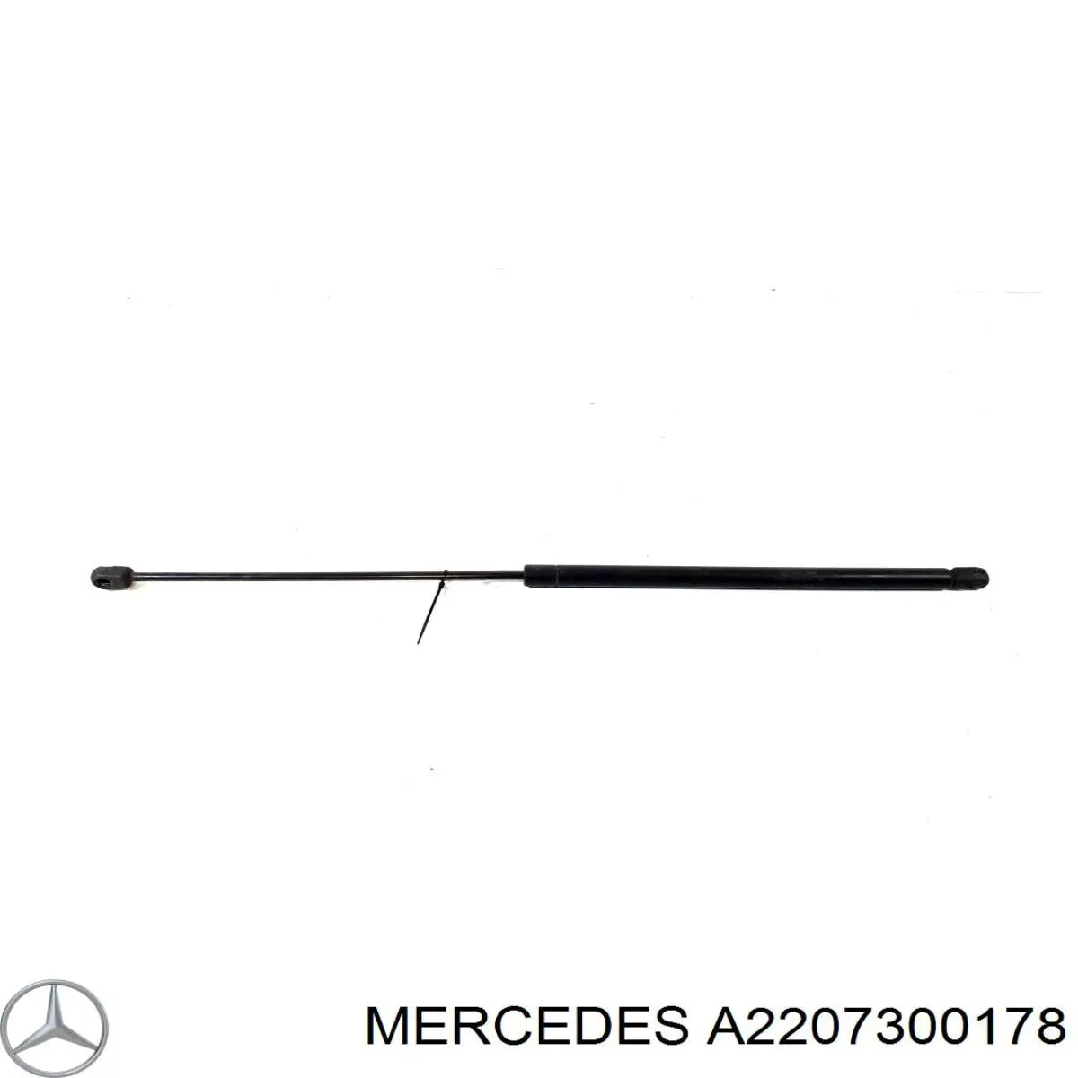 Купити A2207300278 Mercedes Ущільнювач двері задньої (на двері)