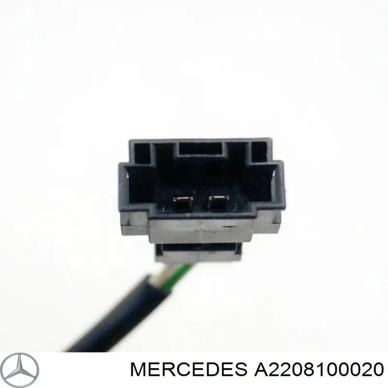 A2208100020 Mercedes Навішування задніх дверей