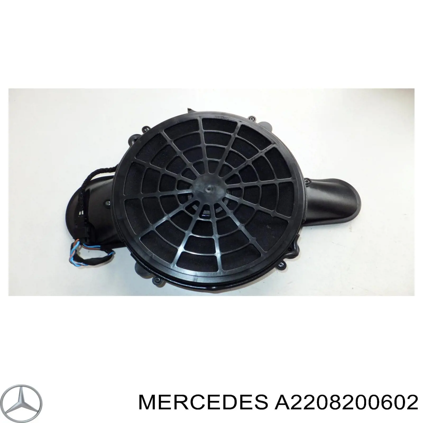  A2208200602 Mercedes