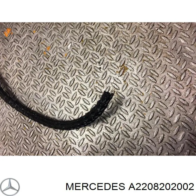 Купити A2208202002 Mercedes 