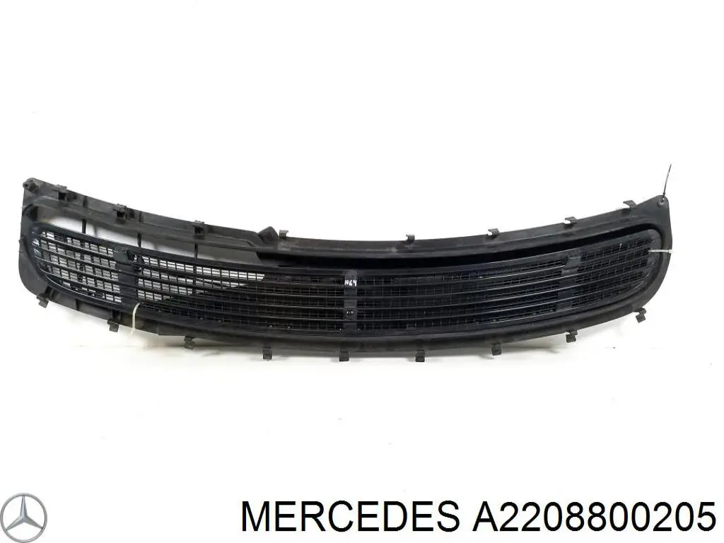 A2208800205 Mercedes Огорожа, рамка під лобове скло