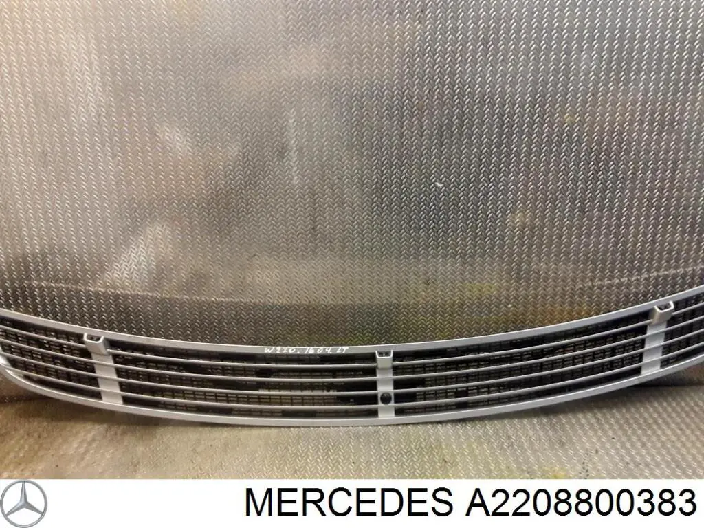 Купити A2208800383 Mercedes Захисна решітка радіатора