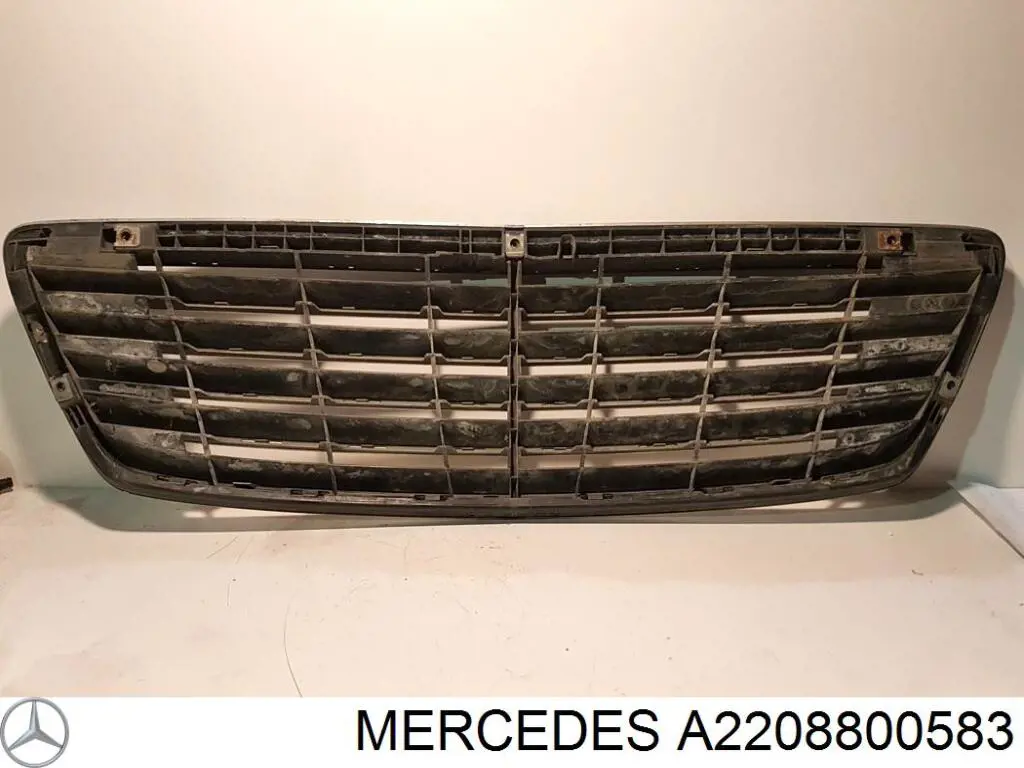 Купити A2208800583 Mercedes Захисна решітка радіатора
